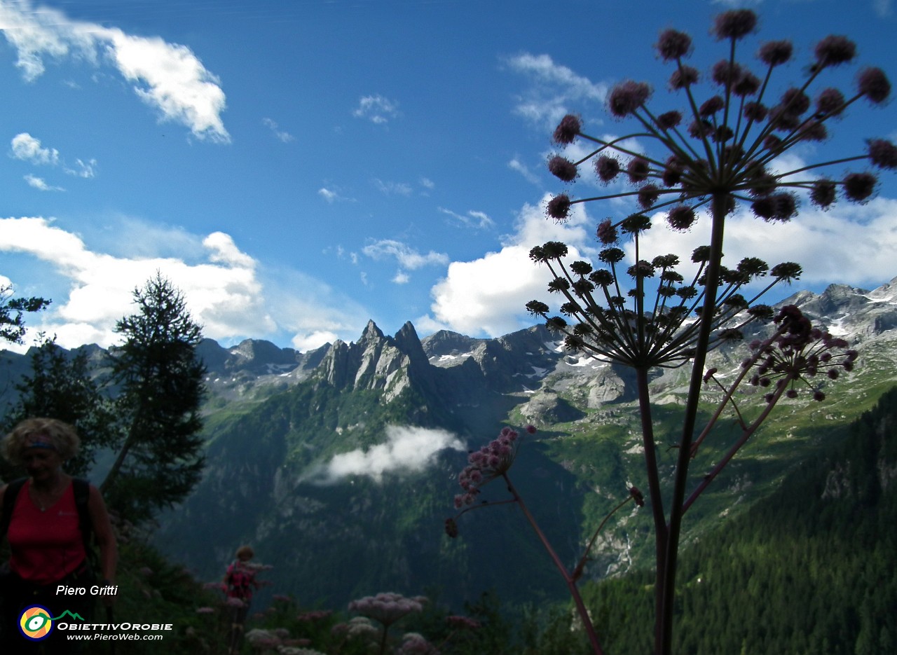 18 Monte Boris e cime d'Averta.JPG